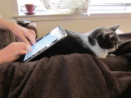 de kat gebruiken als iPad-stand